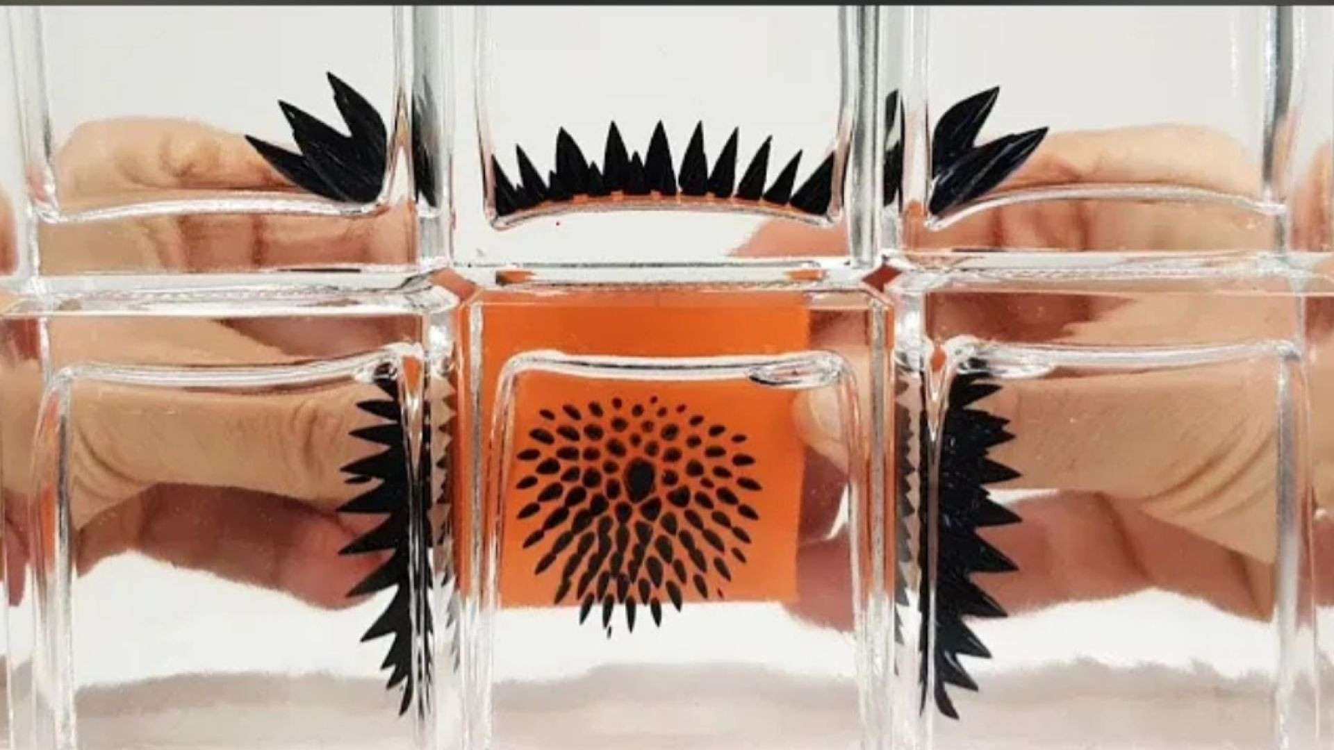 Ferrofluid in a bottle to view Magnetic Fields I Magnetic Games